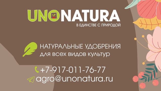 Дачные советы Галины Старосельцевой Декабрь 16-2021