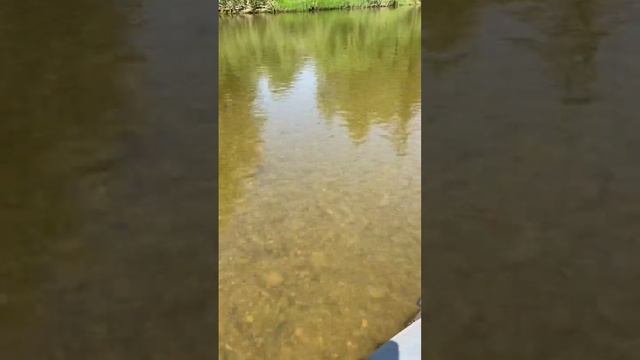 Водомет 9.9 по самой мели.