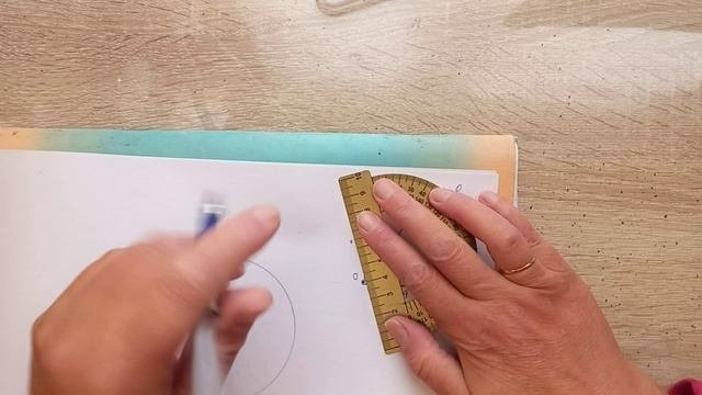 Круговая диаграмма. Математика 6 класс. Строим углы по транспортиру и решаем задачу