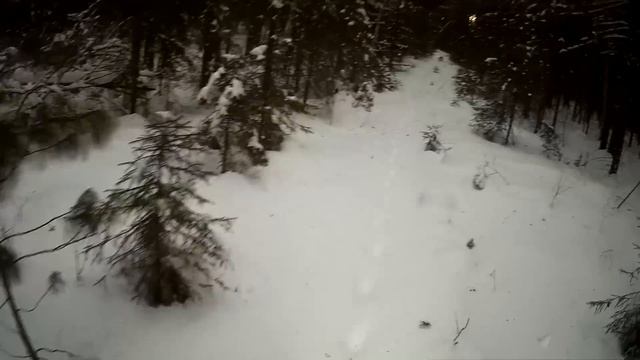 Охота на Куницу капканами / Проверка капканов на куницу / Привада на лис. Сезон 22/23