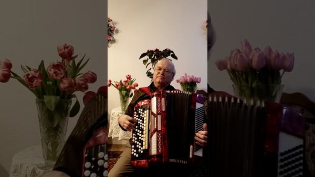 Ах ночь , какая ночь!( Рождественская ночь).
