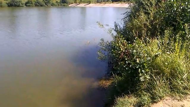 0573, город Орёл, Орловский район, река Мезенка, Нижний Мезенский пруд, пляж, плотина, Зелёный Шум