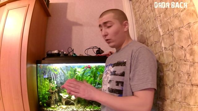 Оборудование для аквариума! Аквариум для начинающих! [#Оборудование для аквариума]