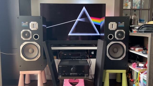 TECHNICS SE-M100