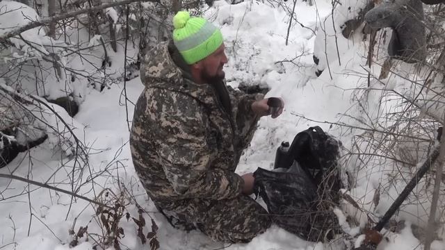 Охота на лося с лайками Удмуртского питомника