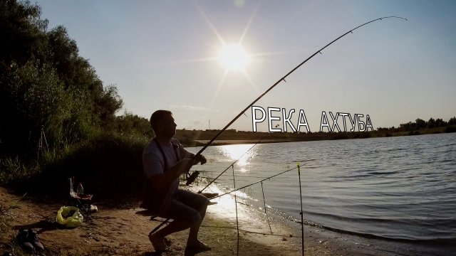 Река Ахтуба рыбалка донки на жмых огромный карась.