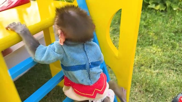 Monkey Baby Bon Bon plays toy cars with puppy and open surprise eggs