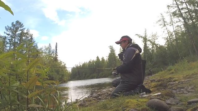 Аномально огромные хариусы плато Путорана