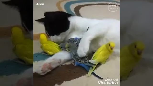 Есть друзья а для них у друзей нет выходных