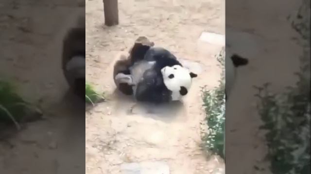 супер