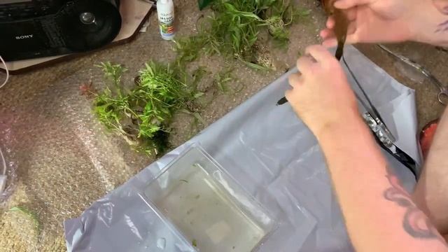 Замена грунта в действующем аквариуме без перезапуска.Меняем кварцевый грунт на пропант.