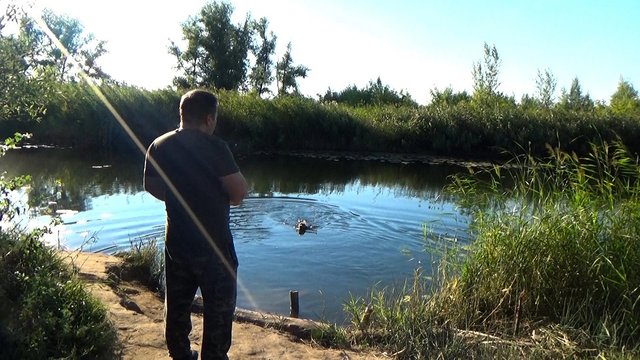 Выехали на природу. Ричард счастлив)) Речка Буртя, Оренбургская область.