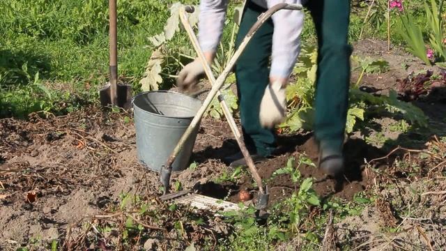 Копаем картофель в три раза быстрее