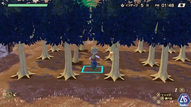 Story of Seasons: A Wonderful Life - Walkthrough #233