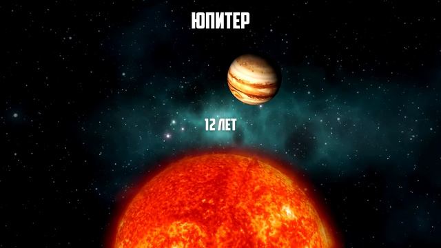 За какое время планеты вращаются вокруг Солнца?