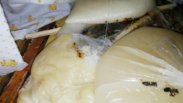 Подкормка пчел сиропом? - Выставка пчел, зимовка продолжается.