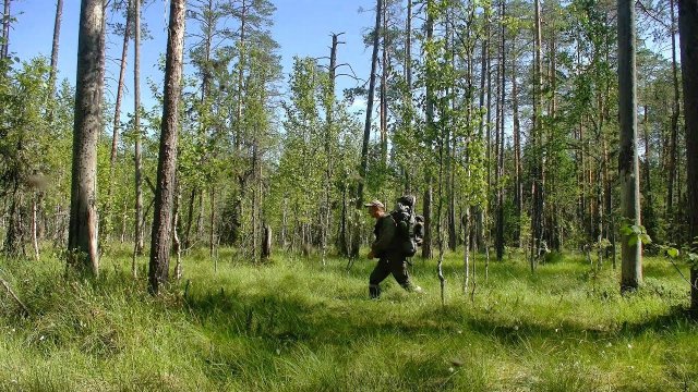 Рыбалка на небольшой речке #424