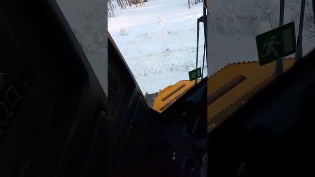 Обучение управления бульдозером ДСТ Урал