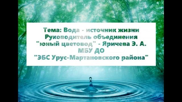 Вода источник жизни