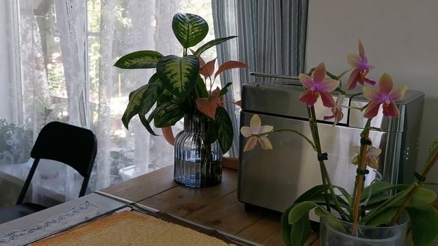 Очень простой домашний бисквитно-ягодный торт с белковым кремом