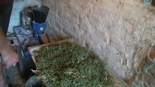 Гранулятор бытовой ГКМ100 в работе с сеном люцерны