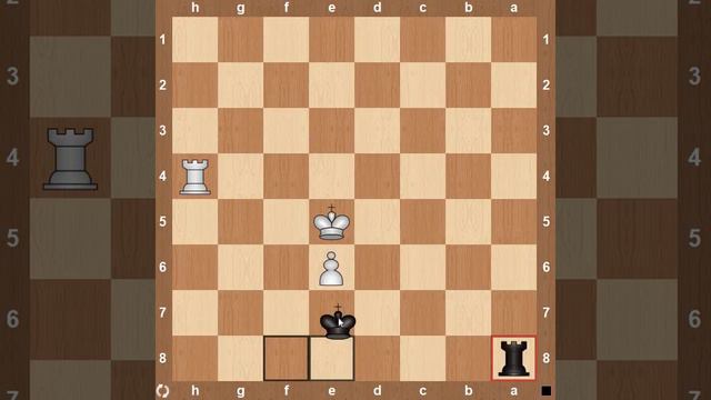 Ладья против ладьи с пешкой