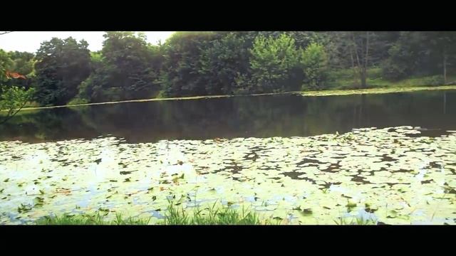 Отец
