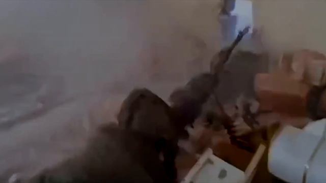 Ты держись, боец   клип