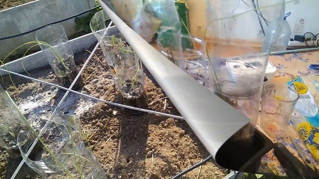 Лук эксибишен в Ленинградской области.