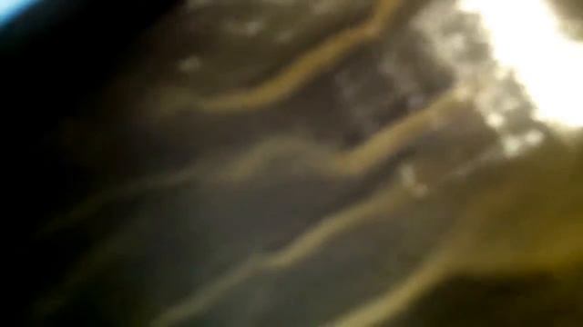 как покрасить новое крыло автомобиля