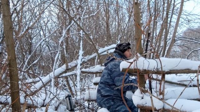 Охота из засидки на лису. Главный секрет удачной охоты.