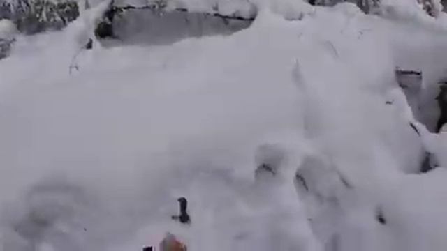 Как выжить в тайге зимой