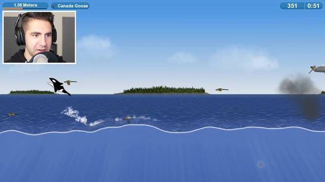 KILLER WHALE vs FIGHTER JETS - Tasty Planet Forever | Pungence