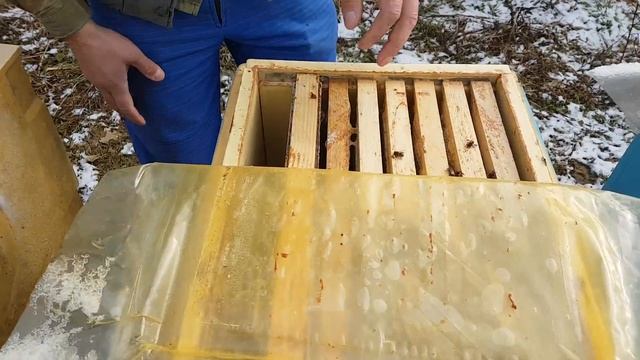 Зимовка пчел в ульях ппу.