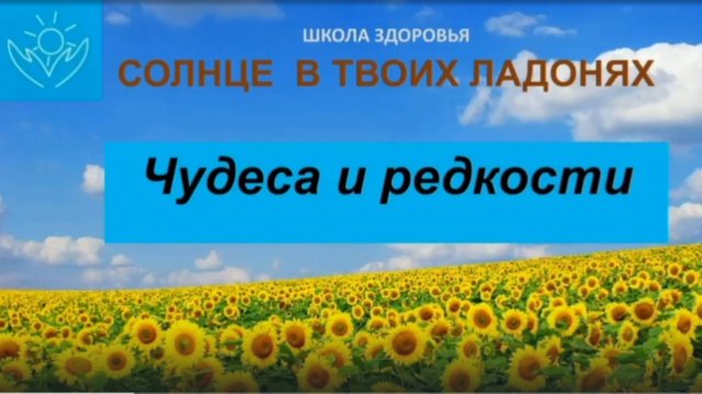 Чудеса и редкости