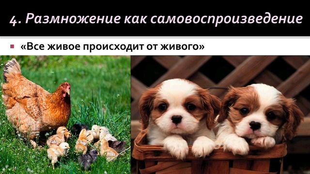 Биология 9 класс. Общие свойства живых организмов
