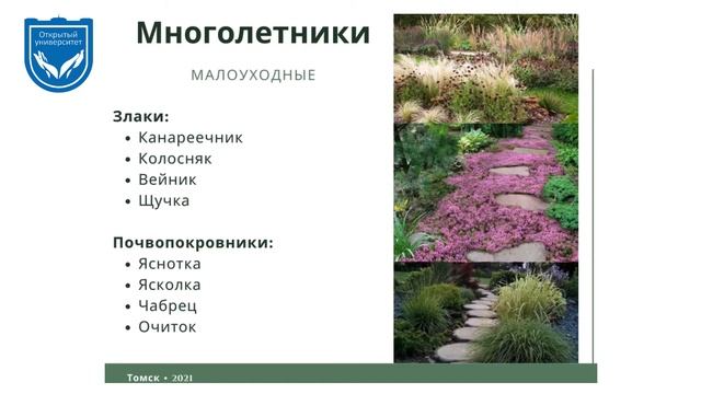 Растения для озеленения. Лекция 3.
