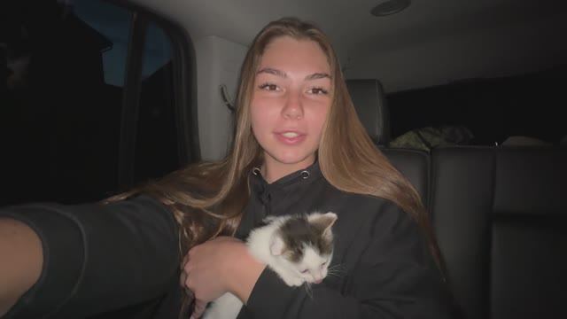 Кошка Мурка и котята из Марьинки