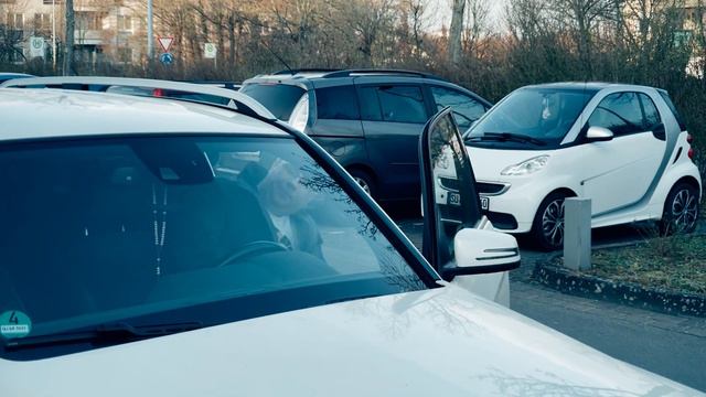 Александр Гросс-С тобою вместе нам не быть...