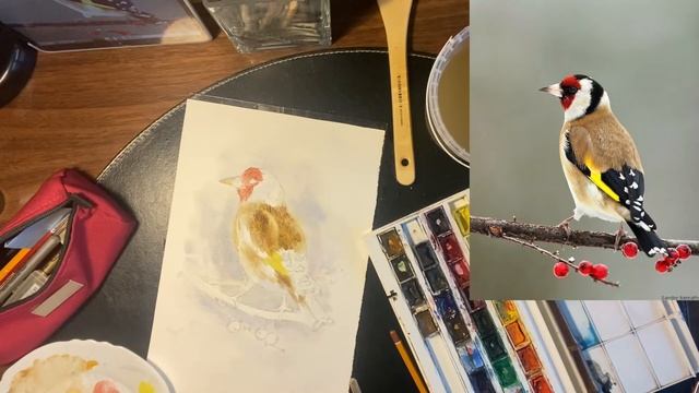 "Щегол"  Урок рисования акварелью