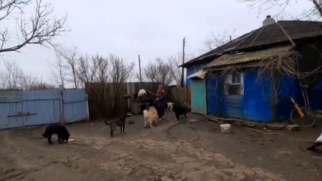 ВИТАЛИК И АНГЕЛИНА / РОДИТЕЛИ АНГЕЛИНЫ ЖИВУТ В КРАСНОДАРЕ