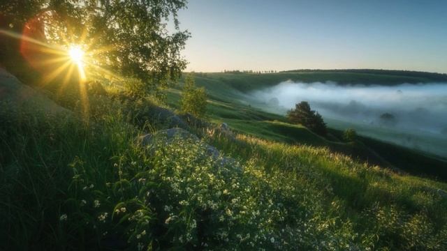 Розовая рубашка! Группа дядя БОРЯ.
