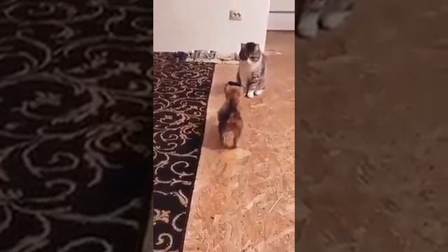 Мощная аура
