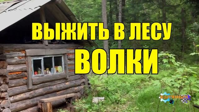 0912 - ВОЛКИ НАПАЛИ _ ВЫЖИТЬ В ЛЕСУ _ ВСТРЕЧА ЖИЗНЬ В ТАЙГЕ.mp4