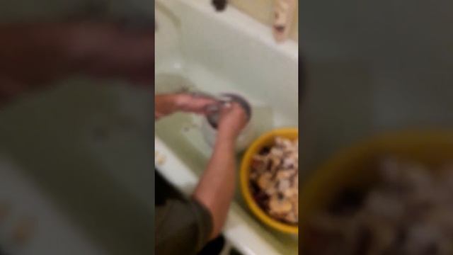 Засолка сыроежки - быстрый рецепт. Просто и вкусно.
