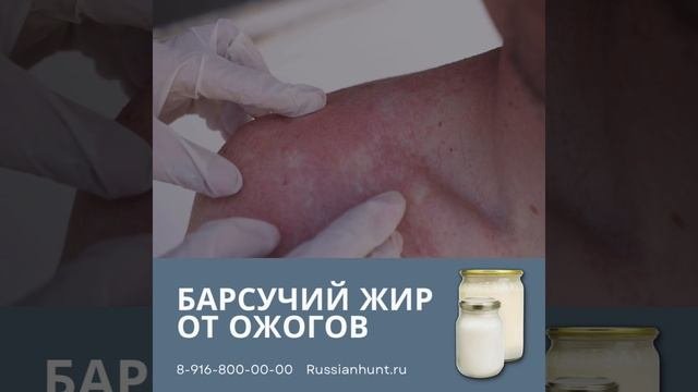 Барсучий жир