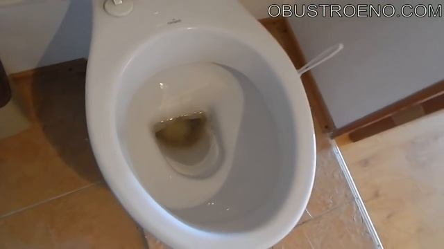 Почему воняет из унитаза???
