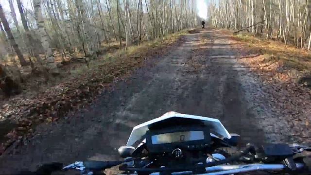 #Enduro33  Эндуро-тур по Мещере 2021.kawasaki klx 250 и Honda Transalp 650 .