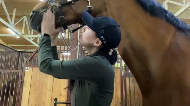 Лошади. Конный спорт. Мой ПЕРВИЙ ВЛОГ - Один День Из Жизни Конника.