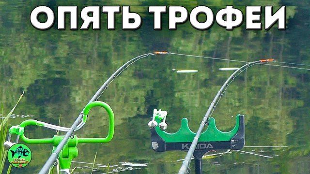 ОПЯТЬ СЛАБОНЕРВНЫМ НЕ СМОТРЕТЬ. РЫБАЛКА С НОЧЕВКОЙ. Рыбалка на фидер